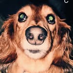 Rusty Osborne - @rustozzy - Instagram
