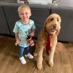Palmer Andrews - @rusty_palmer_doodle - Instagram