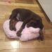Rusty Palmer - Facebook