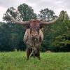 rustyparsons380 - @rustyparsons380 - TikTok