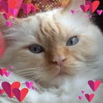 Cera J. Klomp - @rustypepper2021 - Instagram