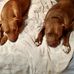 Rusty Phillips - Facebook