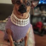 Rusty Phillips - @rustyphillips1959 - Instagram