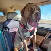 rustyphillips04 - @rustyphillips04 - TikTok