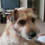 Rusty Reid - @rustyreid8 - Instagram