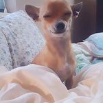 Rusty Reid - @rusty.reid.752 - Instagram