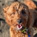 Rusty Reid - Facebook