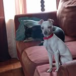 Rusty Reynolds - @reynoldsrusty29gmail.com_ - Instagram