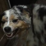 Rusty Roberts - @rusty3506 - Instagram