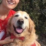 Rusty Roberts - @rustythetherapydog - Instagram