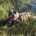 Rusty Shaffer - Facebook