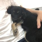 Rusty Simpson - @rustygrom - Instagram