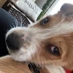 Rusty Braeden Stevenson - @rustys._.world - Instagram