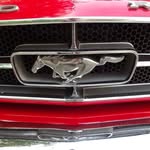 Rusty Terry - @mustangrusty65 - Instagram