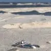 rustyveon - @rusty.veon - TikTok