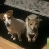br4nd0nm4s0n - @wadentherustybackup - TikTok