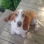 Rusty Wallace - @rustywallace_ - Instagram