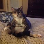 Russ Webb - @rusty_webb - Instagram
