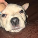 Rusty Dow-Wooten - @rusty.is.awesome - Instagram