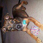 rusty - @rusty_dusty_wooten - Instagram
