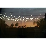 Rusty - @rustyazjwooten - Instagram