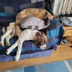 Ruth Abbott - @ruth.abbott.5815 - Instagram
