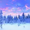 Ruth Abbott - @ruthabbott1 - TikTok