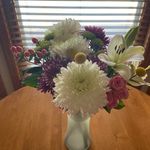 Ruth Brandt Abrahamson - @rudiestevo - Instagram