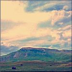 Ruth Abramson - @ruthabramson209 - Instagram
