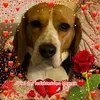 Ruth Hager - @ruth.hager5 - TikTok