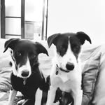 Ruth Aitchison - @aitchisonruth - Instagram
