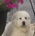 Mary Ruth Akers - Facebook