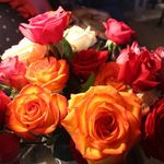 Ruth Ellen Akers Yeaton - @ruth_akers_yeaton - Instagram