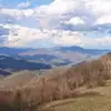 ruthalderson4 - @ruth.alderson - TikTok