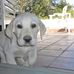 Ruth Ames - Facebook