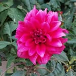 Ruth Arroyo - @rutharroyo83 - Instagram