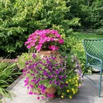 Ruth Asbury Swanson - @ruthswanson781 - Instagram