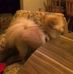 Ruth Atchley - Facebook