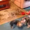 ruthayers6 - @ruth.ayers6 - TikTok