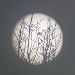 Ruth Babb - @ruthbabb1 - Instagram