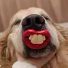Ruthbabby - @ruthbabby - TikTok