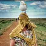 @ruthbackshallartist - Instagram