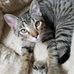 Ruth Balch - Facebook
