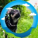 Ruth Balzer - @bellagucci2023 - Instagram