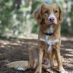 @ruthbalzer1 - Instagram