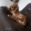ruthbarbosahernan - @ruthbarbosahernan - TikTok