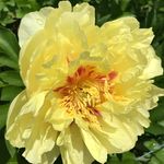Ruth Barbour - @rubarb57 - Instagram