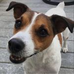 Ruth Barbour Fitz - @refitzuk - Instagram