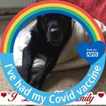 Ruth Barclay-Devine - @barclaydevine - Instagram