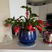 Ruth Barth - Facebook